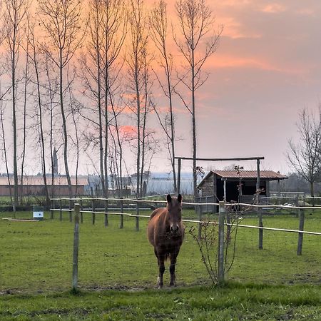 Agriturismo Al Botteniga تريفيزو المظهر الخارجي الصورة