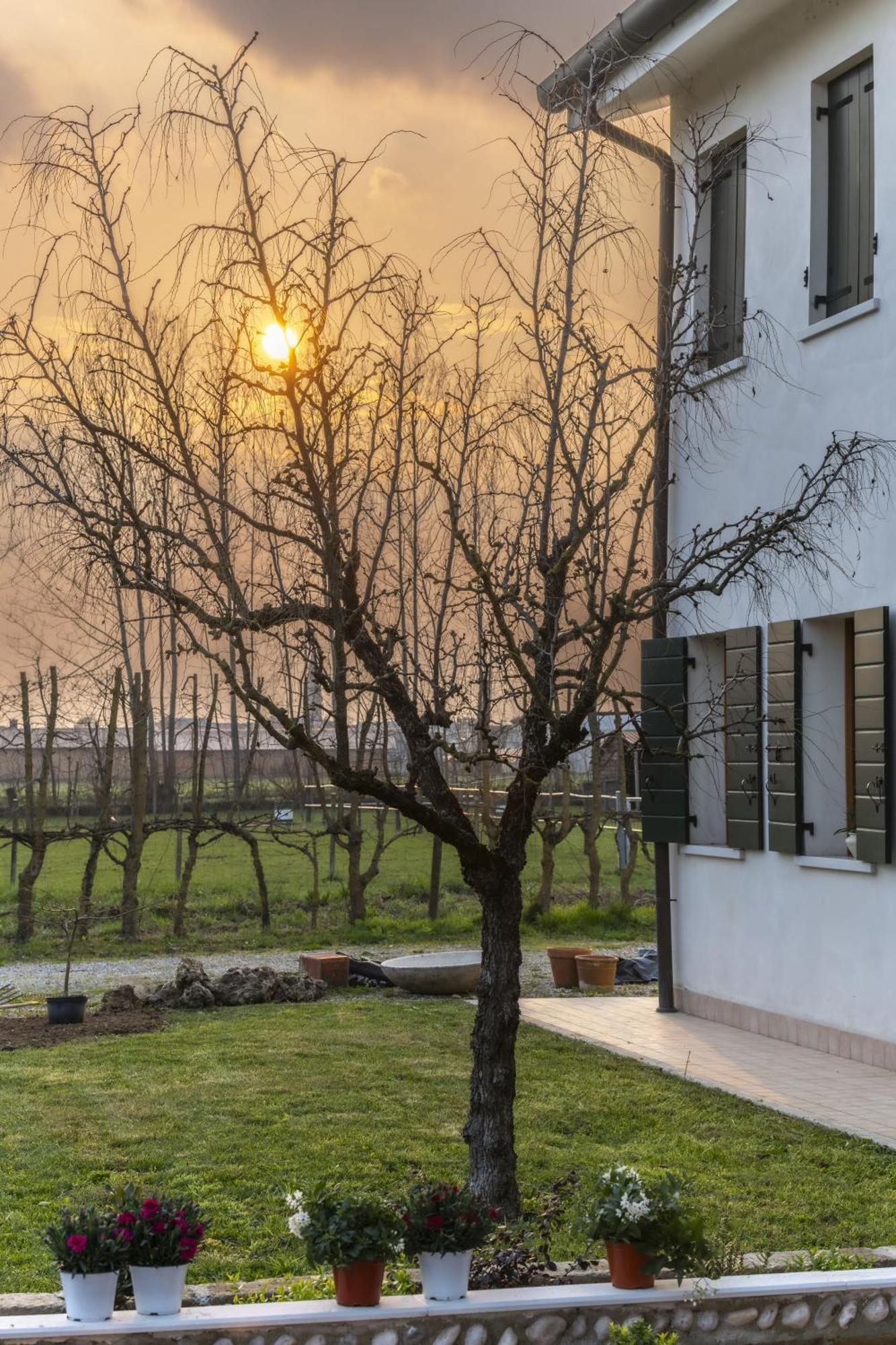 Agriturismo Al Botteniga تريفيزو المظهر الخارجي الصورة