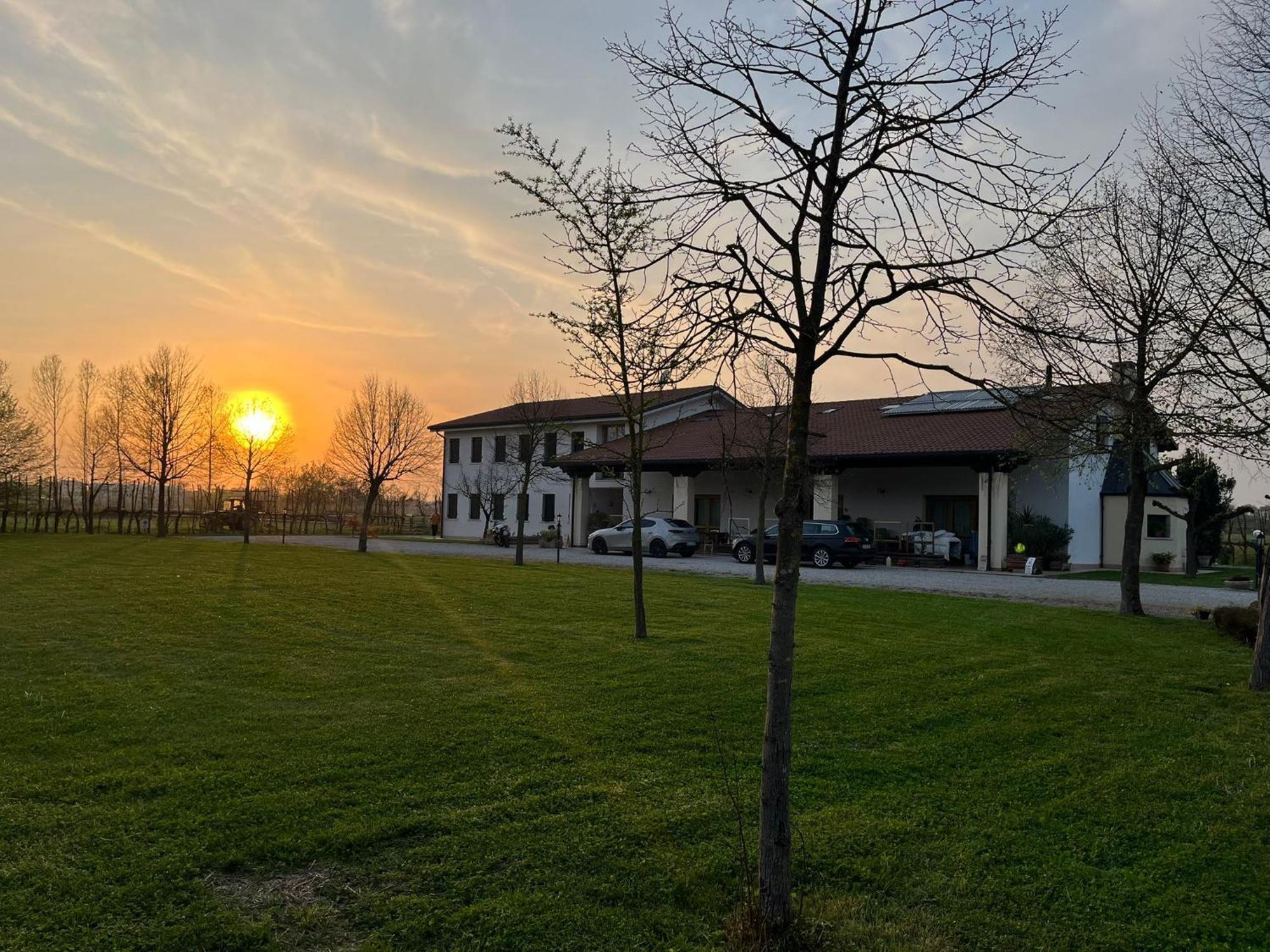 Agriturismo Al Botteniga تريفيزو المظهر الخارجي الصورة