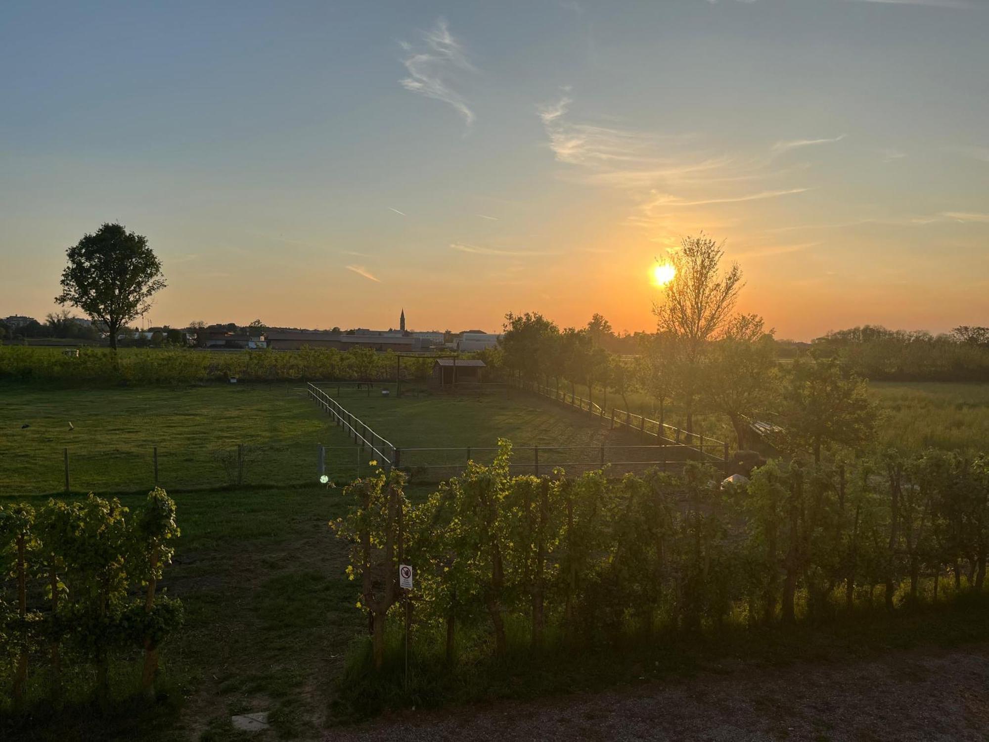 Agriturismo Al Botteniga تريفيزو المظهر الخارجي الصورة