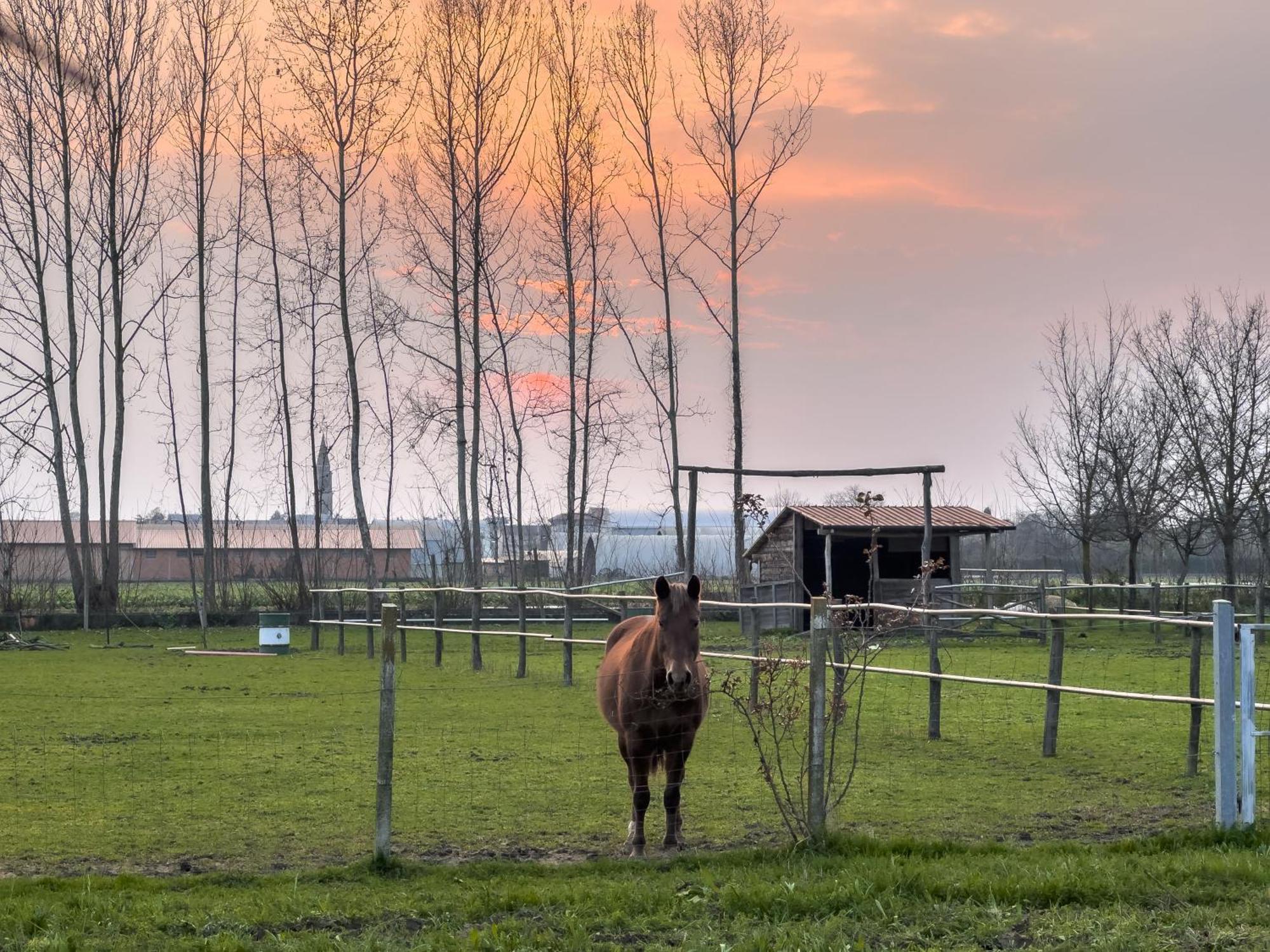 Agriturismo Al Botteniga تريفيزو المظهر الخارجي الصورة